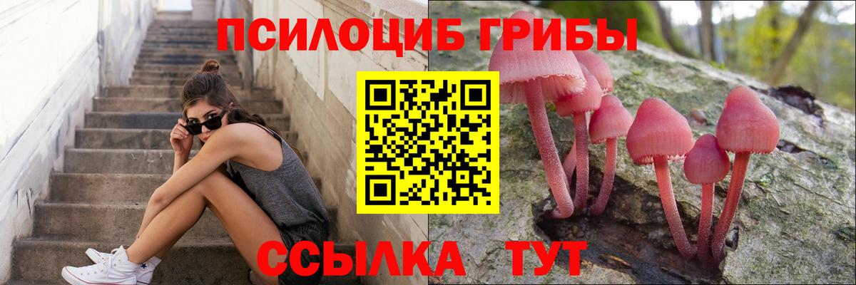 Лосино-Петровский  Галлюциногенные грибы прущие грибы  Вход с VPN 